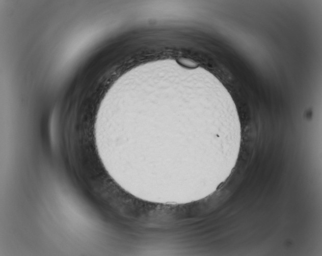 X0000115620140200912221236