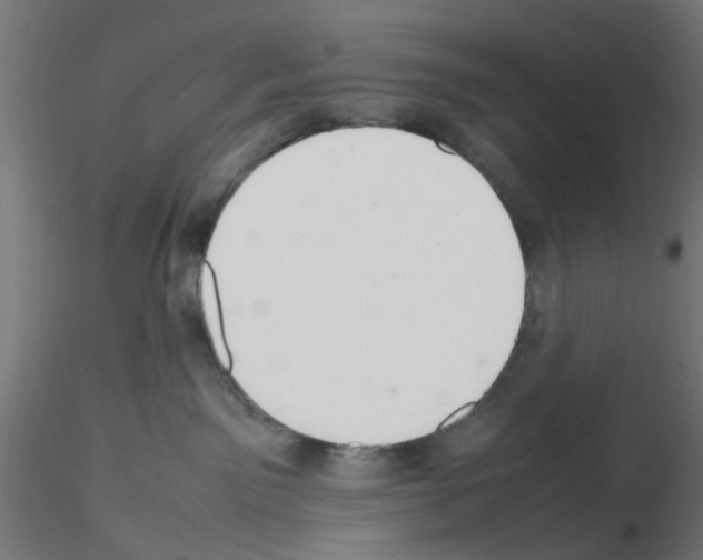 X0000115620141200912221236