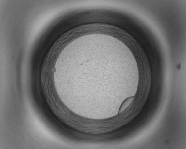 X0000115620142200912221236