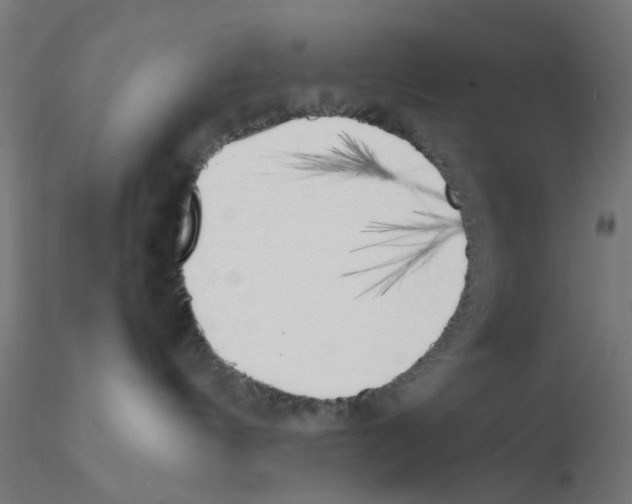 X0000115620144200912221236