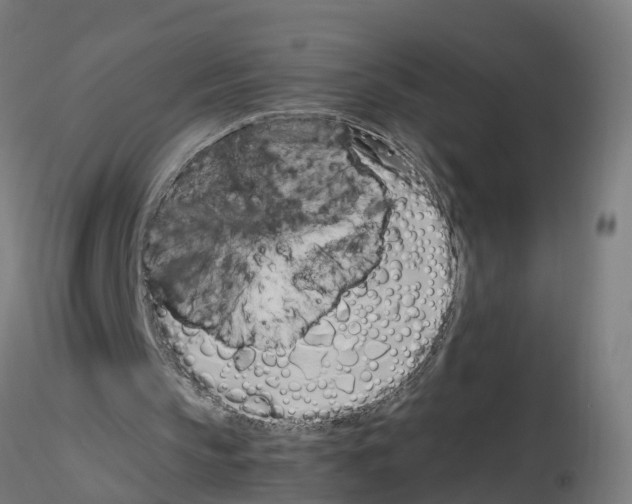 X0000115620145200912221235