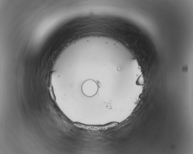 X0000115620146200912221235