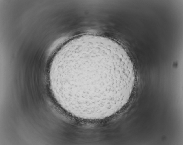 X0000115620149200912221235