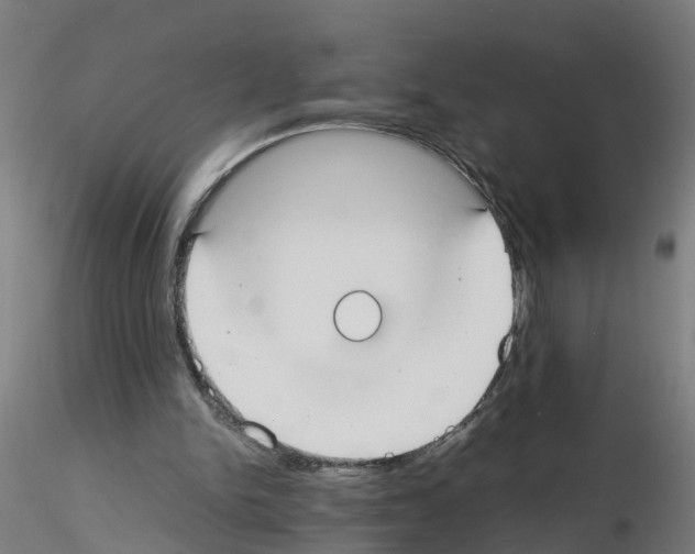 X0000115620150200912221235