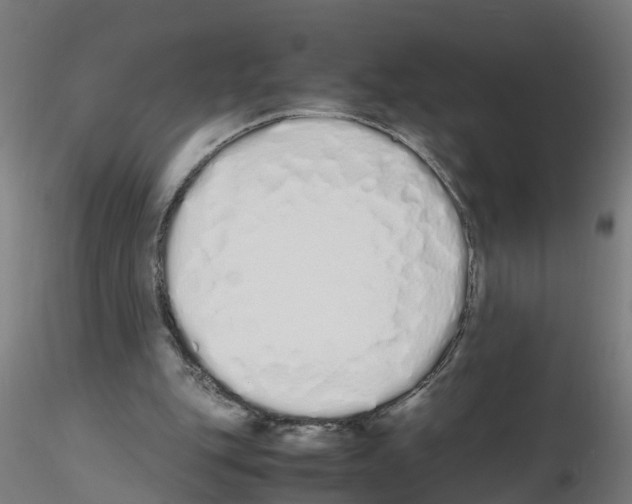 X0000115620151200912221235