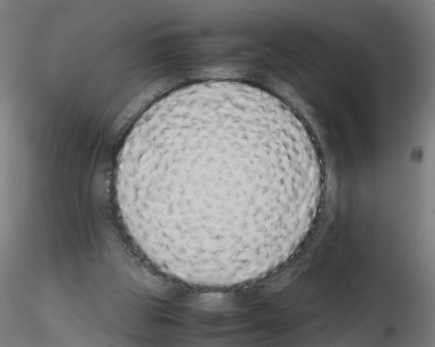 X0000115620153200912221235