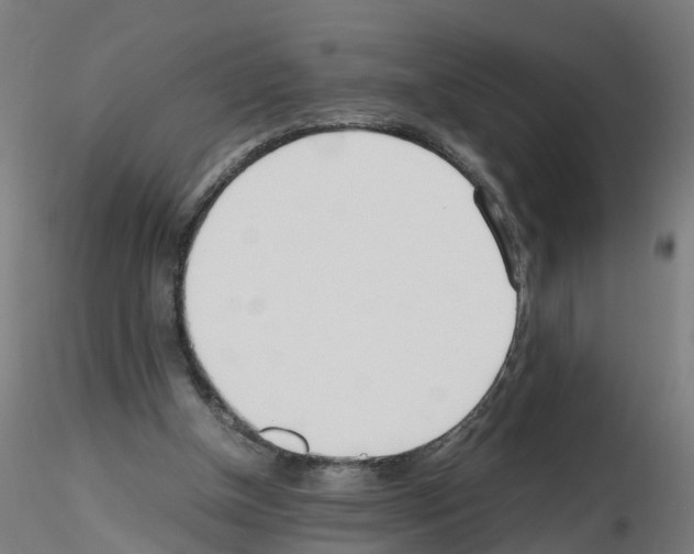 X0000115620154200912221235