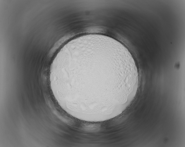 X0000115620155200912221235