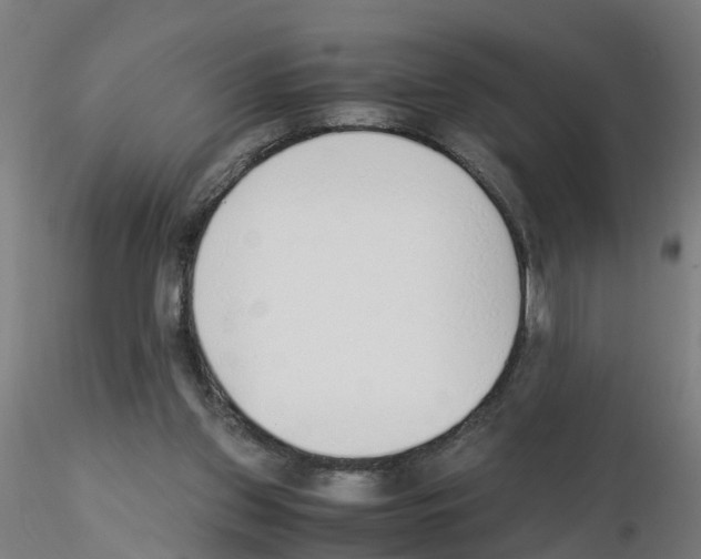 X0000115620157200912221235