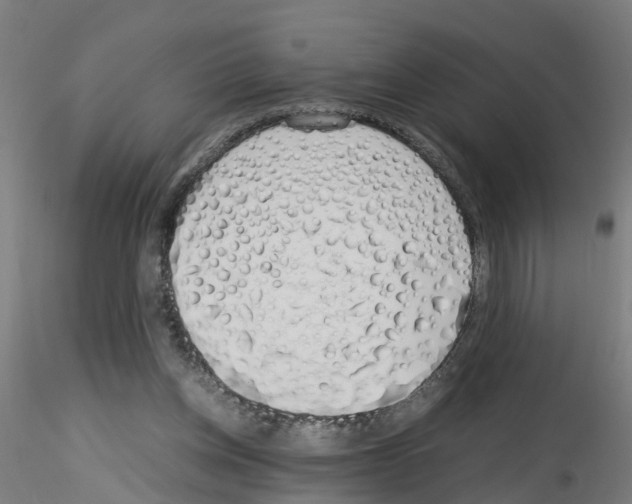 X0000115620158200912221235