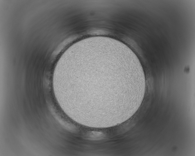 X0000115620159200912221235