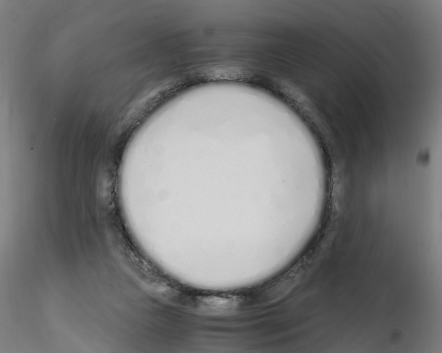 X0000115620161200912221235