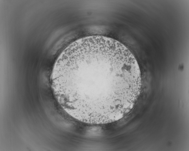 X0000115620162200912221235