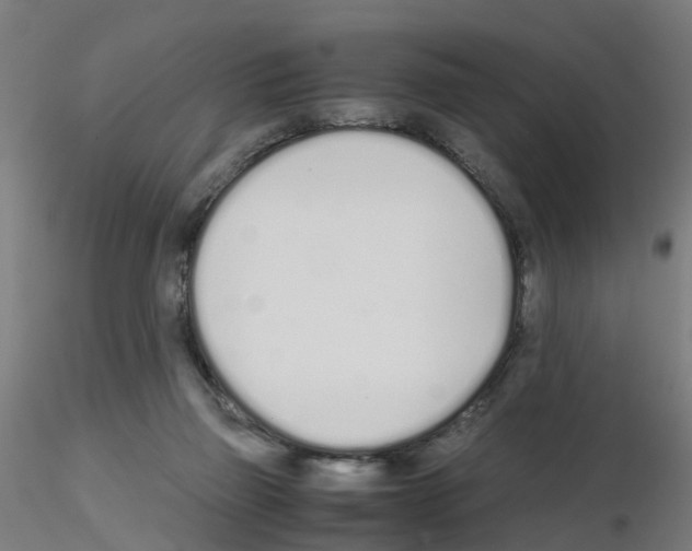 X0000115620165200912221235