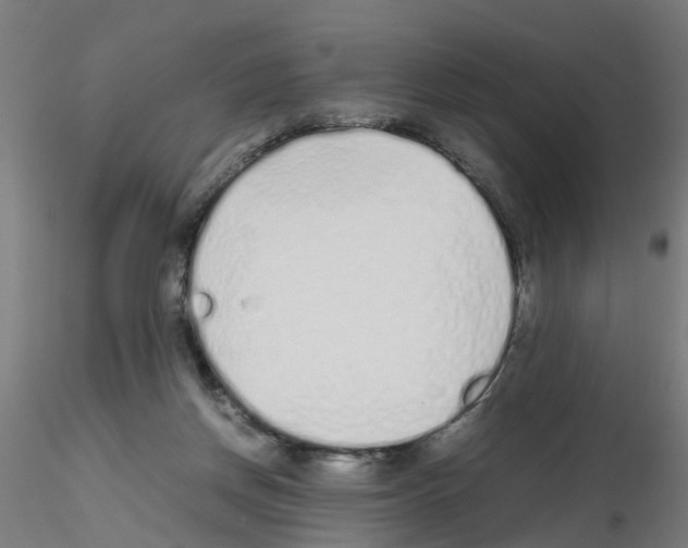 X0000115620166200912221235