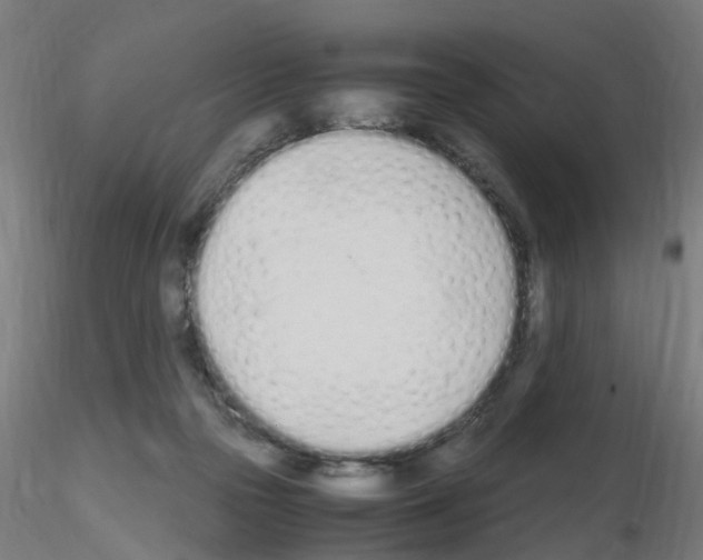 X0000115620169200912221235