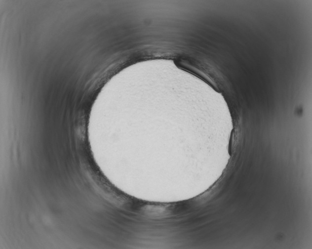 X0000115620170200912221235