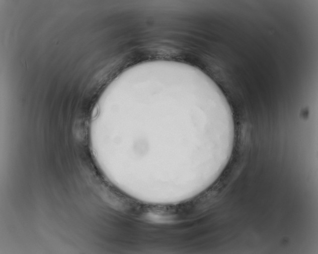 X0000115620177200912221236
