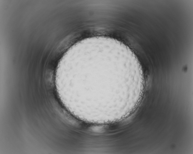 X0000115620178200912221236