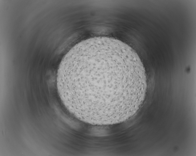 X0000115620179200912221236
