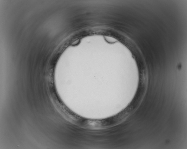 X0000115620181200912221236
