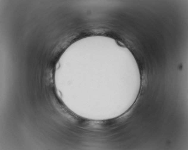 X0000115620182200912221236