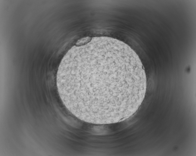 X0000115620183200912221236