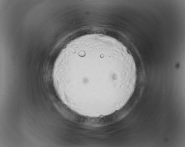 X0000115620185200912221236