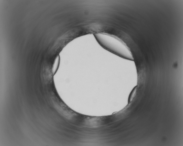 X0000115620186200912221236