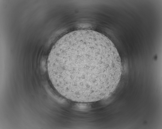 X0000115620187200912221236