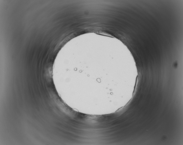 X0000115620190200912221236