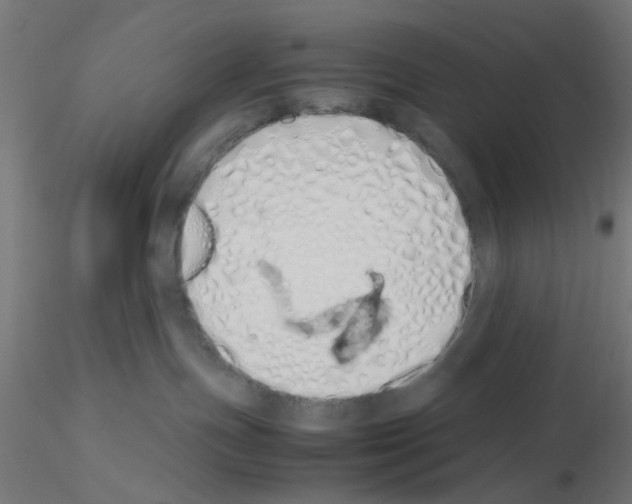 X0000115620191200912221236