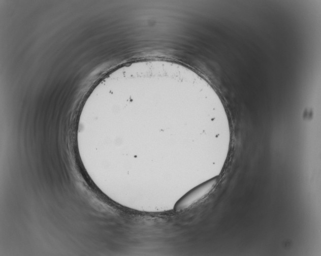 X0000115620193200912221235