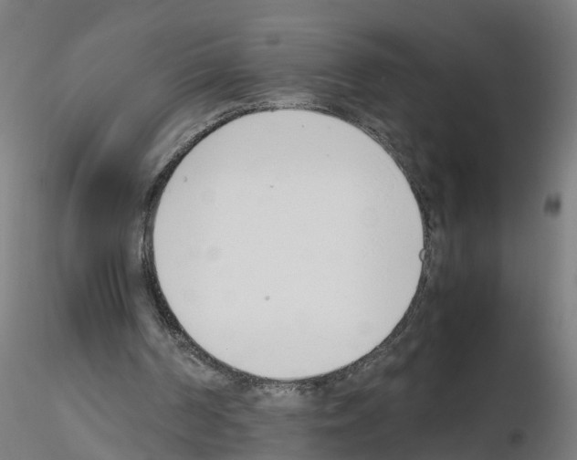 X0000115620194200912221235
