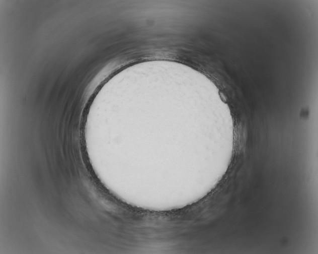 X0000115620195200912221235