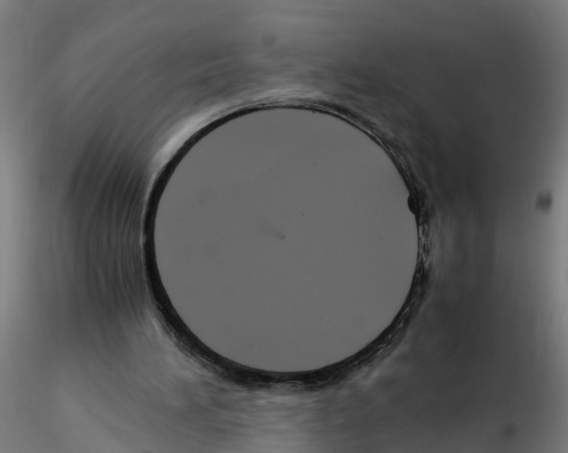 X0000115620196200912221235