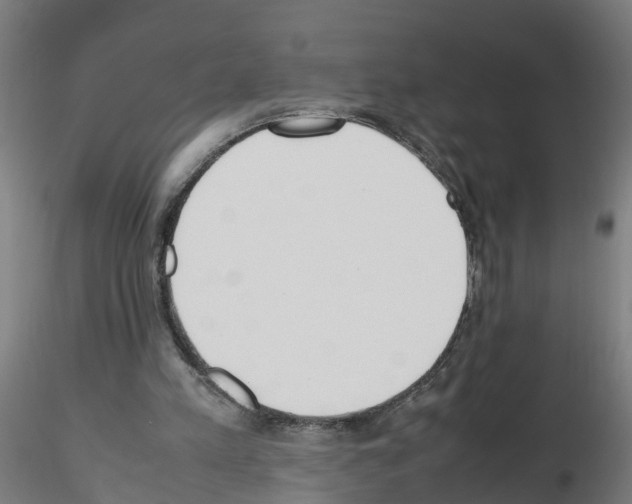 X0000115620197200912221235