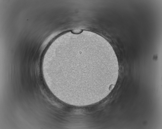X0000115620200200912221235