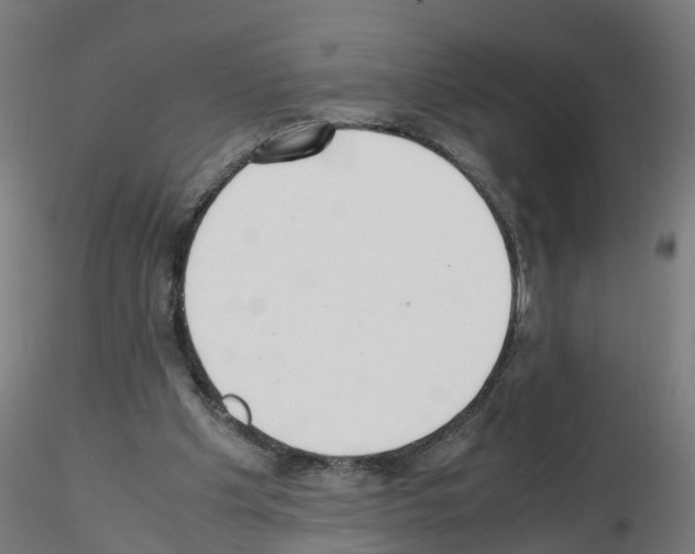 X0000115620201200912221235