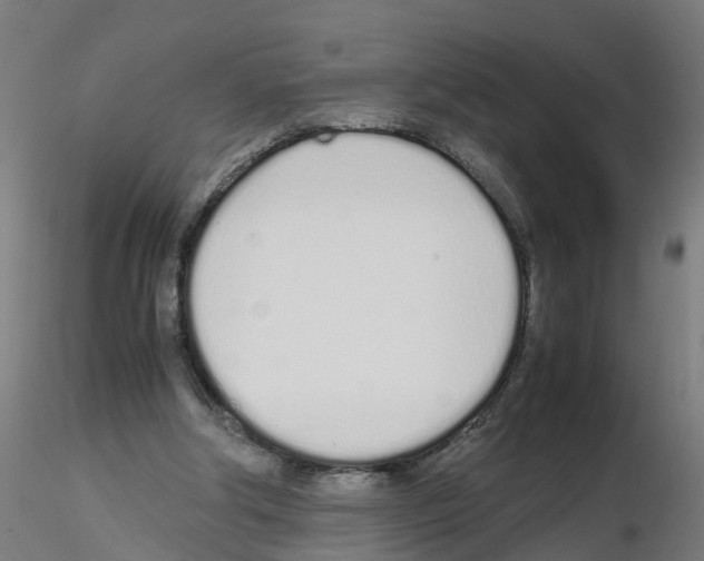 X0000115620202200912221235