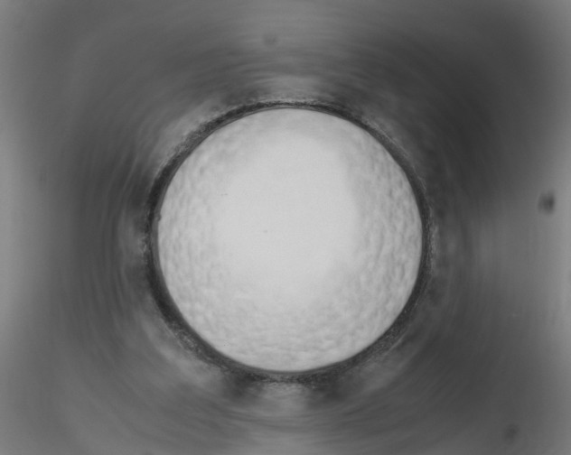 X0000115620203200912221235