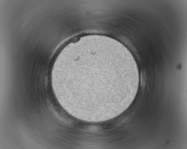 X0000115620204200912221235