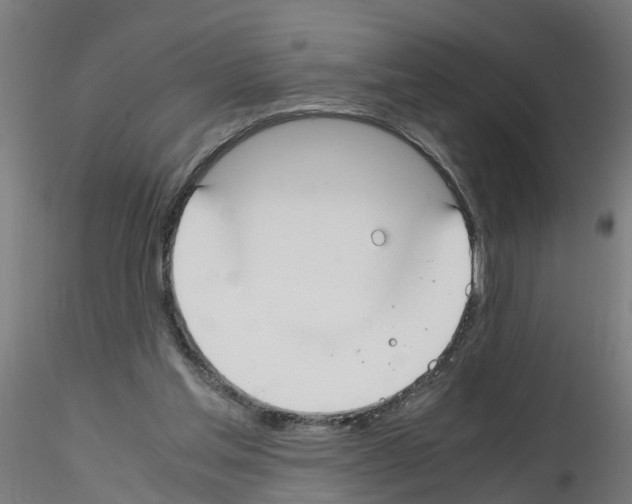 X0000115620205200912221235