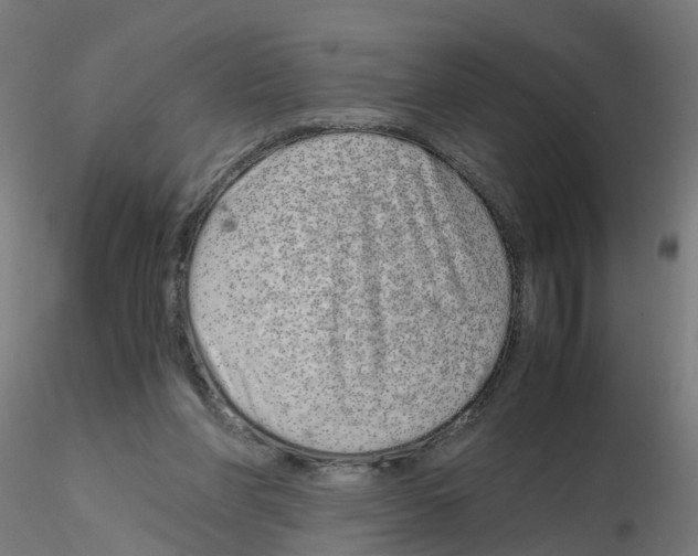 X0000115620206200912221235
