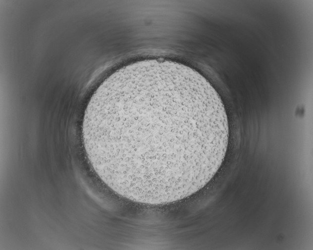 X0000115620207200912221235