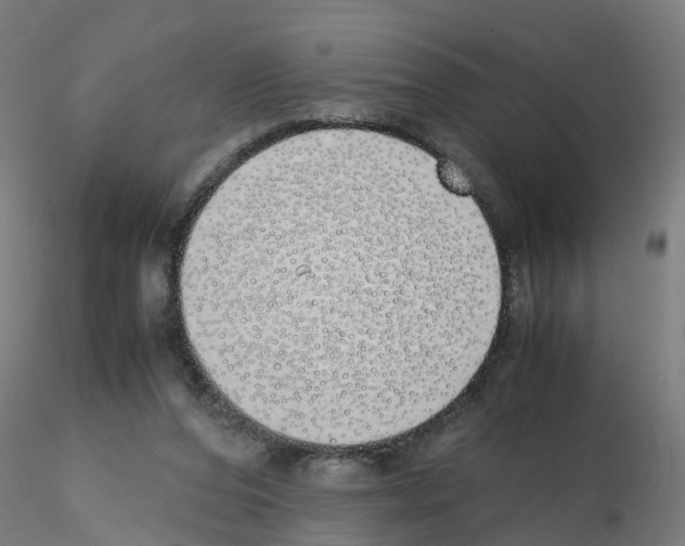X0000115620208200912221235