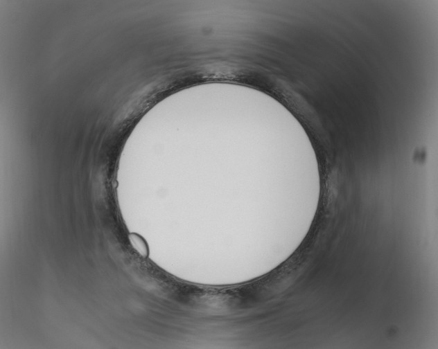 X0000115620209200912221235