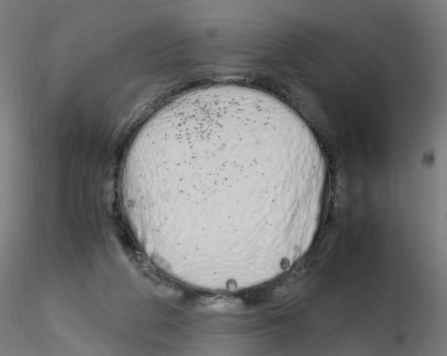 X0000115620210200912221235