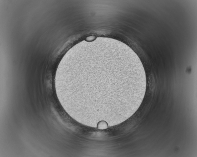 X0000115620212200912221235