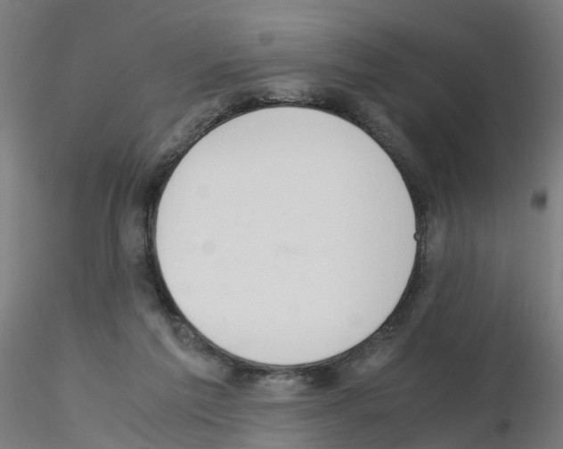 X0000115620213200912221235